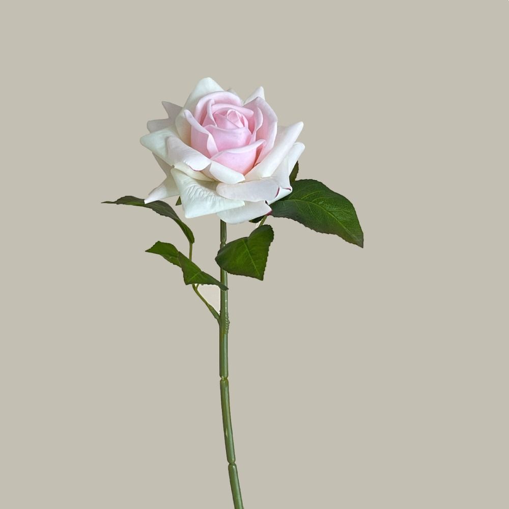 Real Touch Rose Artificial Flower Multicolor Lifelike Rose Flower Faux Flower Home Decoration