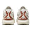 Nike Кроссовки унисекс LeBron 21 EP Akoya White Light-Bone Coconut-Milk FV2346-001