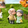 2 шт./набор миниатюрных фигурок влюбленных Sweety Lovers для пар, бабушек, дедушк, сказочных садовых миниатюрных украшений для дома