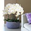 6 PCS Artificial Flowers Faux Orchid Velvet Orchids 97cm Orchids Real Look Long Stem Artificial Flowers for Tall Vase for Home Wedding Decoration