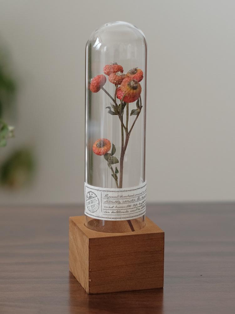Wabi-Sabi Style Xian Porcelain Test Tube Rack: Retro Gift for Dried and Preserved Flowers, Plant Specimen Display