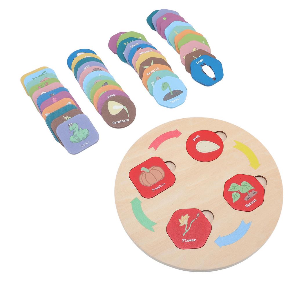 Wooden Life Cycle Toy Tray for Toddlers Educational Science Learning Activities Sorting Matching