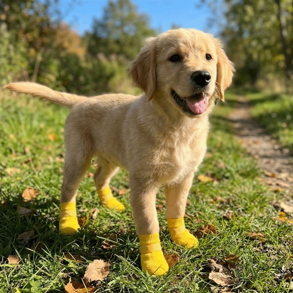 4PCS Adjustable Dog Foot Cover Breathable Anti-slip Pet Socks Pet Supplies Dog Mesh Shoes Snow