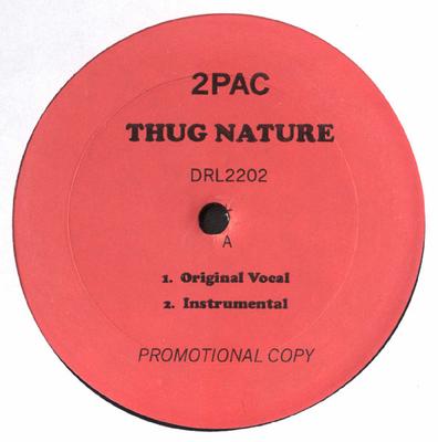 12-дюймовая пластинка 2PAC - Thug Nature / Wanted Dead Or Alive DRL2202 Death Row Recor 2000 США Рэп и хип-хоп/R&B Б/У