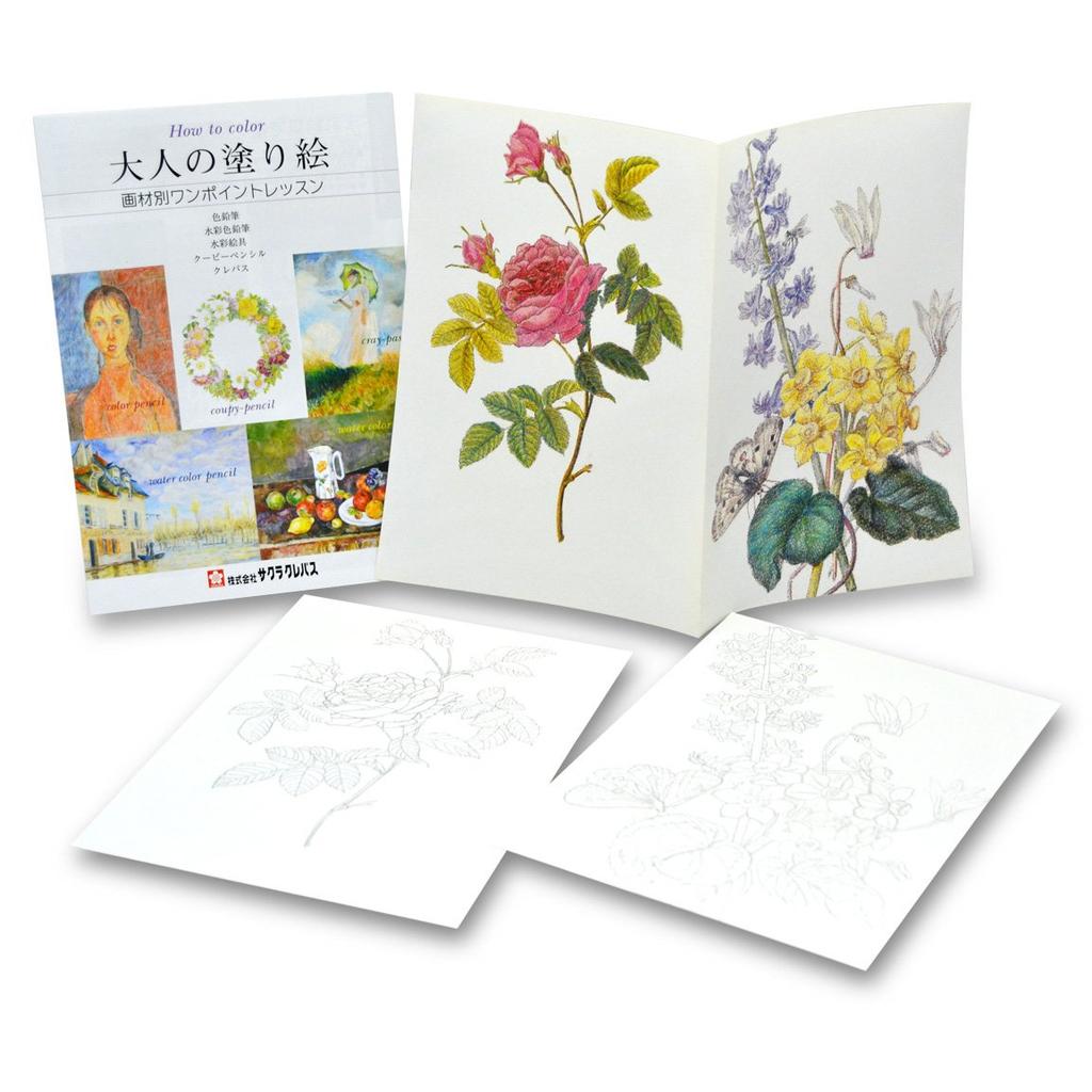 Sakura Crepas цветной карандаш Coupy 30 цветов Color on Color FY30NU