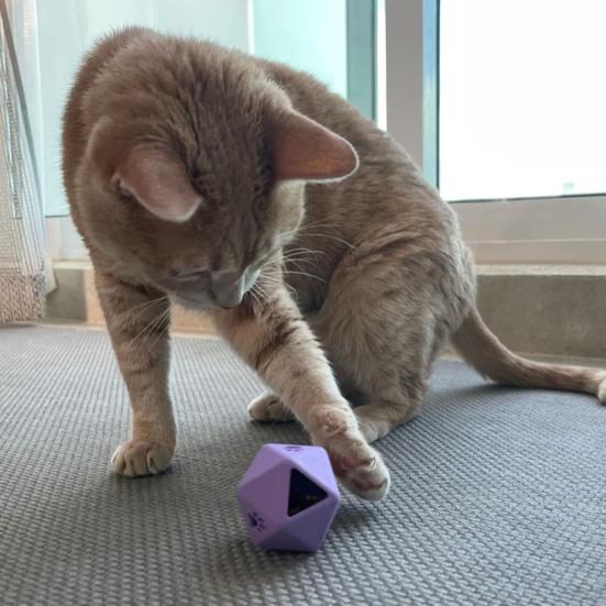 Игрушка-дозатор лакомств для кошек, кубики, интерактивная кормушка, многогранные кубики, забавный дозатор лакомств, кошачья головоломка