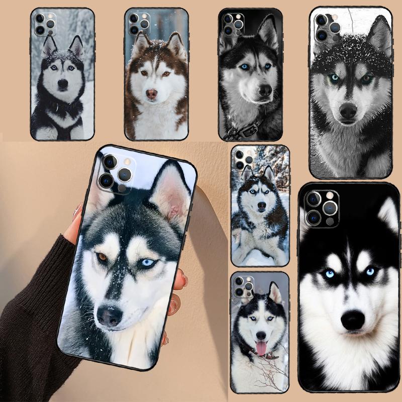 Animal Wolf Dog Husky Case For Realme C65 C67 C61 C53 C55 C51 C25 C63 C71 C75 GT6 GT7 Pro 11 12 13 14 15 Pro Plus