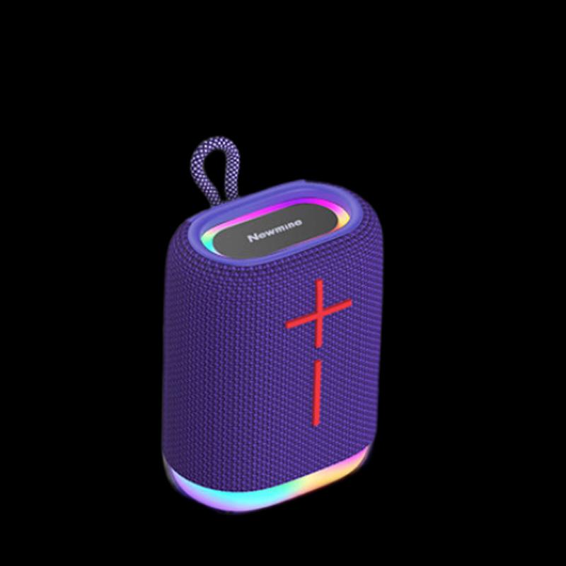 Портативная Bluetooth-колонка Newmine BT10, штекер CN (адаптер в комплекте)