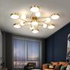 Living Room Ceiling Light, Modern and Simple Household Magic Bean Lamp