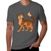 Firestar Tshirt Big Size Short Sleeve Tee For Unisex