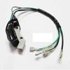 ET950 ET650 IE45 TG950 Интегрированная катушка зажигания с магнитогенератором, зажигалка для генератора TIGER 450W 650W 800W 950W 1000W 2-тактный