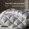 Muji-inspired Class A Antibacterial Down Duvet