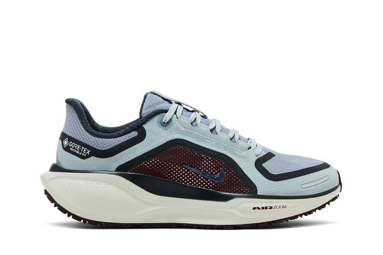 Nike Air Zoom Pegasus 41 Gore-Tex Светлый пемзовый Бордовый раздавленный