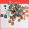 Leaves Artificial Eucalyptus Robusta Smith For Wedding Party Decor