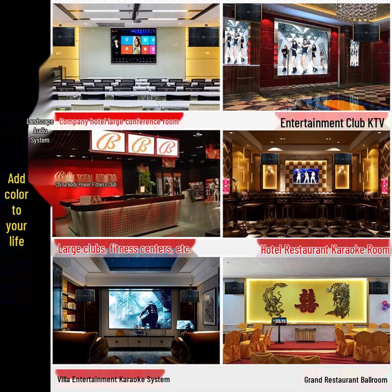 Sansui PK-10 Home & Commercial Karaoke Speaker System