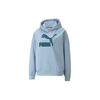 Logo Hooded Casual Sweatshirt Women Sweatshirt Blue 539278-79