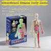 Human Body Model for Kids, Skeleton Science Model Kit That Glows In The Dark, 30 Pieces Anatomy Model, Interactive Educational Toys for Kids