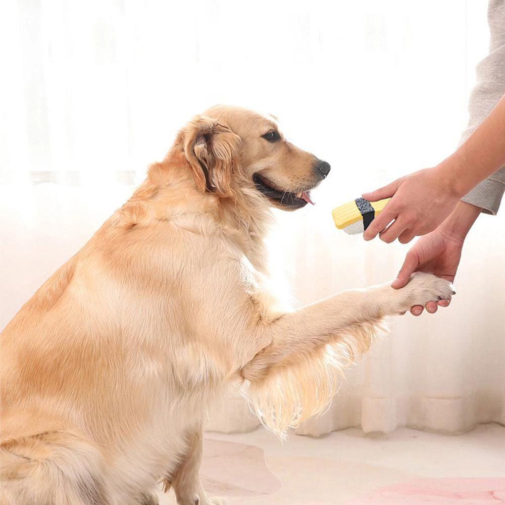 For Small Large Dogs Dog Throw Toys Chew Training Toy Dog Supplies Pet Accessories Dog Sushi Toy