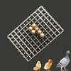 1Pcs Chicken Eggs Tray For Duck Quail Bird Poultry Egg Incubator Machine