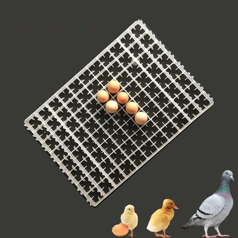 1Pcs Chicken Eggs Tray For Duck Quail Bird Poultry Egg Incubator Machine