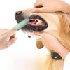Силиконовая зубная щетка на палец для кошек и собак - Pet Dental Care 