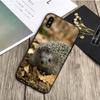 Черный силиконовый чехол для телефона «Ежик» для iPhone 12 XR XS Max 5 5S SE 2020 6 6S 7 8 PLUS X 11Pro Max11
