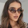 New Fashion Cat Eye Sunglasses Women Vintage Shades Brand Designer Sun Glasses Small Frame Cat Eye Eyewear Uv400 Eyeglasses