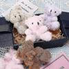 6 Pieces Mini Teddy Bear Little Bear Bulk 4 Inch Stuffed Animal Toy Small Soft Bear Doll Teddy Bear Brown Apricot For Baby Shower Birthday Graduation