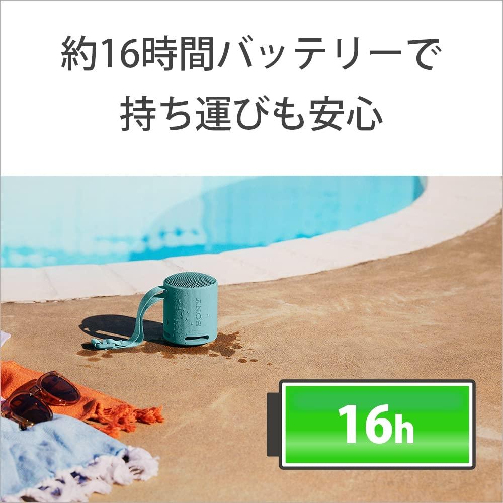 Sony Беспроводной динамик SRS-XB100: Чистое и глубокое воспроизведение басов. Защита от воды и пыли по стандарту IP67. Длительное время работы около 16 часов. Поддержка звонков в режиме громкой связи.