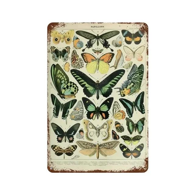 Vintage Butterfly Insect Plant Collection Chart Metal Tin Sign Retro Aesthetic Art Decor for Living Room Wall Home Decor Poster