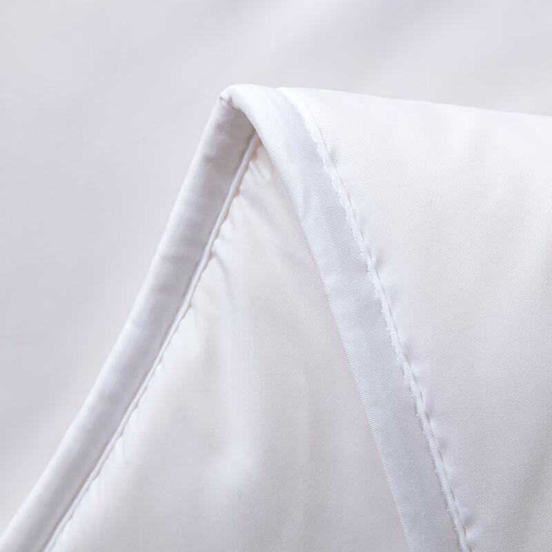 Luolai Antibacterial Winter Fiber Duvet