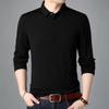 Autumn Top Lapel Long-Sleeved T-shirt Male Young and Middle-Aged Loose Solid Color T-shirt Lapel T-shirt