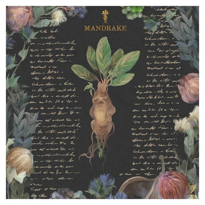 HARRY POTTER Yume Фэнтези Принт