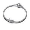 Charm - PANDORA - 793055C00 - Argent - Mixte - Adulte