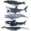 Cross-Border Marine Life Model Toy: Gray Whale, Orca, Humpback, Narwhal, Great White Shark