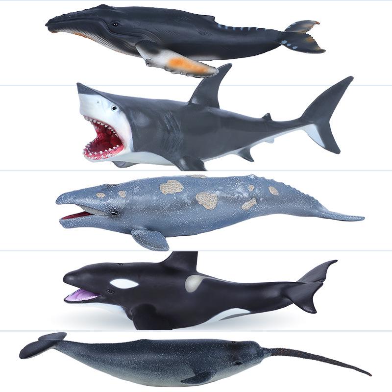 Cross-Border Marine Life Model Toy: Gray Whale, Orca, Humpback, Narwhal, Great White Shark