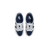 Nike Dunk Low PS 'Football Grey Midnight Navy' FB9108-002