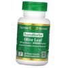 Olive Leaf Extract, EuroHerbs Olive Leaf Extract 500, (71427021)