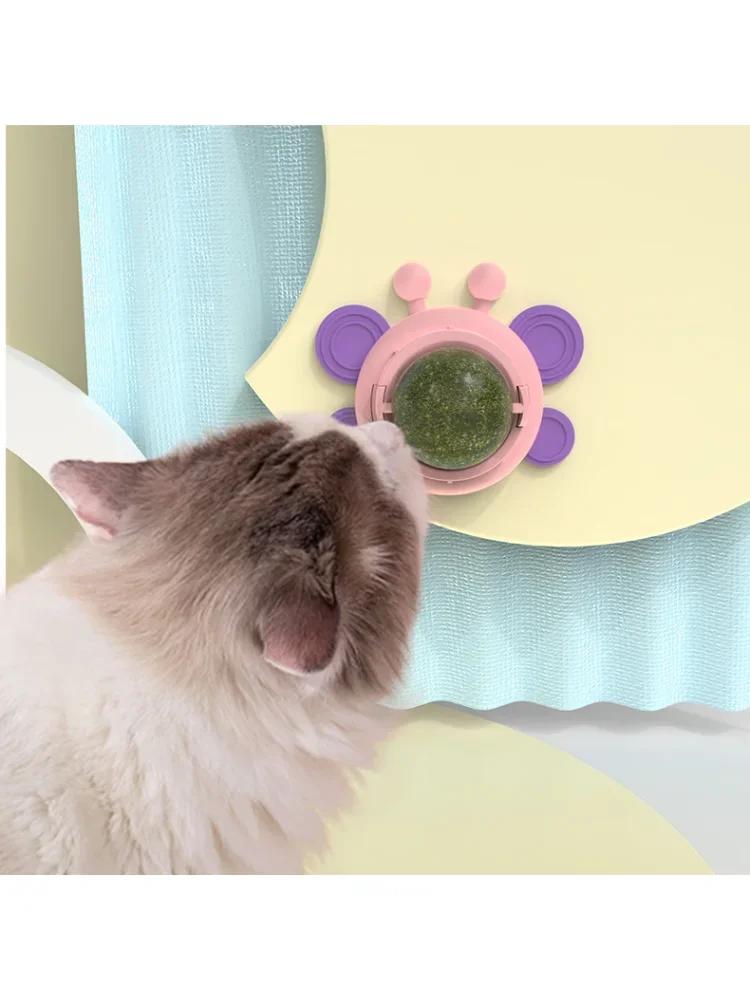 Авокадо, кошачья мята, настенный мяч, игрушки для кошек, кошачья мята, съедобные шарики для лизания, закуска, полезные вращающиеся лакомства, игрушки, товары для котят, чистка зубов