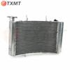 Triumph Street Triple 675 R (2013-2018) Motorcycle Radiator Assembly Parts
