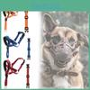 Mouth Muzzles Dog Anti Bark Collar Breathable Training Set Strips Reflective