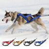 Adjustable Dog Sledding Harness Waterproof Dog Skijoring Training Vest Winter