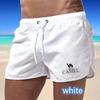 Camel 2024 Summer Men's Quick-Drying Swim Trunks Sports Pants Swimwear Beach Shorts Jogging Shorts