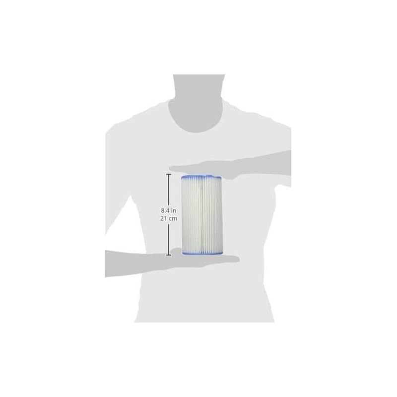 INTEX filter cartridge