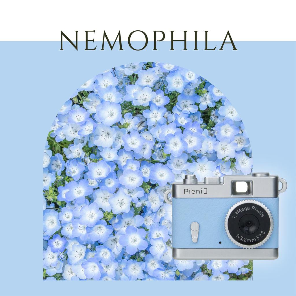 Kenko Pieni II Немофила Цифровая игрушечная камера с картой MicroSD для фото и видео 446843 Брелок, 1,31 мегапикселя, Возможность, Слот,