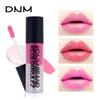 DNM Tri-Colour Lip Gloss Watermelon Pink Pigmented Easy Colour Dazzling Lip Glaze