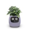 Light GreenTuya Ivy Smart Planter,Endless Fun Over 49 Rich Expressions,7 Smart sensors,AI Chips Make Raising Plants Easy and Fun