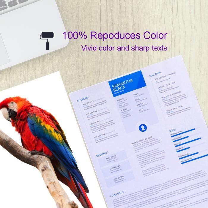 Bada Картриджи с чернилами Совместимый чип Canon PGI-520 / CLI-521 Canon Pixma IP-3600 IP-4600 IP-4600-X IP-4700 MP-540 MP-550 MP-560