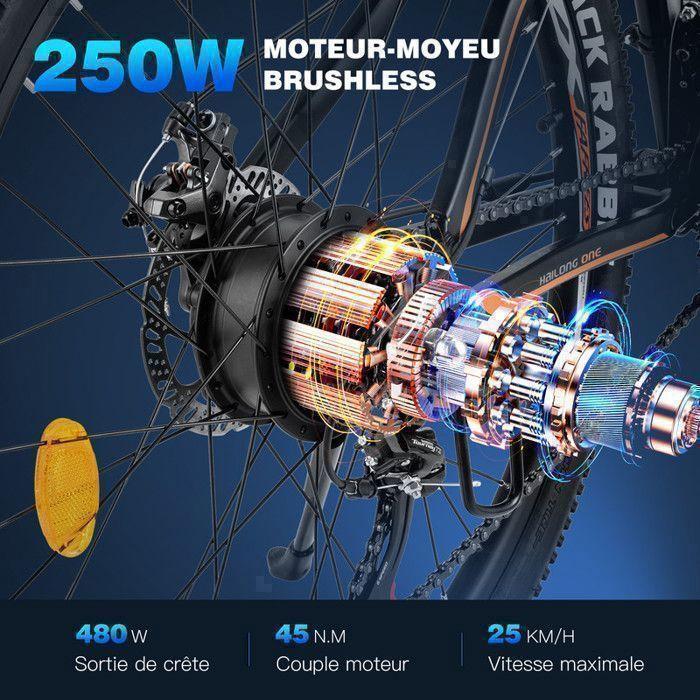 FAFREES 26 Hailong One - Vélo électrique 26" - Moteur 450W Batterie 36V/13.5Ah - Shimano 21 vitesses - Autonomie 100km - Noir