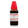 Доктор. Willmar Schwabe India Zingiber Mother Tincture Q - 30 мл - 1X